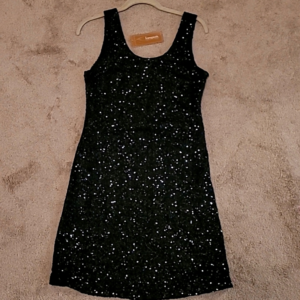 Sequin dress.Bought from the store Francescas.  Size large Nwt. Stretchy slip on